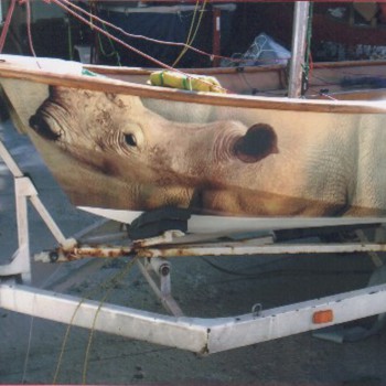 Boat Wrap
